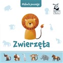 Maluch poznaje Zwierzęta books in polish