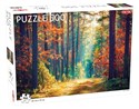 Puzzle Fall Forest 500 - 