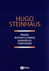 Między duchem a materią pośredniczy matematyka  