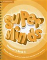 Super Minds 5 Teacher's Book Polish Books Canada