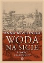 Woda na sicie Apokryf czarownicy - Anna Brzezińska