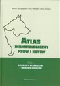 Atlas dermatologiczny psów i kotów Tom 1 Choroby alergiczne i imunologiczne pl online bookstore