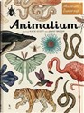 Animalium in polish