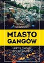 Miasto gangów Ukryte światy Rio de Janeiro polish books in canada