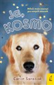 Ja Kosmo buy polish books in Usa