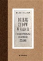 Dzieje Żydów w Galicyi i Rzeczypospolitej Krakowskiej 1772-1868 - Majer Bałaban - Polish Bookstore USA