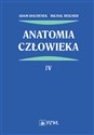 Anatomia człowieka Tom 4 to buy in Canada