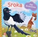 Sroka  books in polish