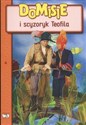 Domisie i scyzoryk Teofila online polish bookstore