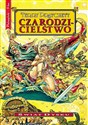 Czarodzicielstwo wyd. kieszonkowe  - Terry Pratchett