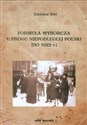 Formuła wyborcza u progu niepodległej Polski do 1922 r. buy polish books in Usa