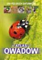 Atlas owadów 