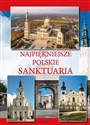 Najpiękniejsze polskie sanktuaria  