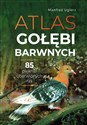 Atlas gołębi barwnych Bookshop