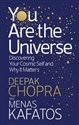 You Are the Universe Discovering Your Cosmic Self and Why It Matters  