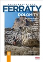 Najpiękniejsze ferraty Dolomity Marmolada Sassolungo Sella Sciliar Catinaccio Latemar - Andrea Greci, Federico Rossetti