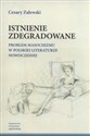 Istnienie zdegradowane Problem masochizmu w polskiej literaturze nowoczesnej Polish bookstore