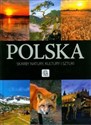 Polska Skarby natury, kultury i sztuki books in polish