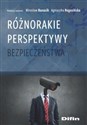 Różnorakie perspektywy bezpieczeństwa polish usa