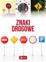 Świat 500 najpiękniejszych zabytków   