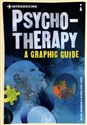 Introducing Psychotherapy polish books in canada