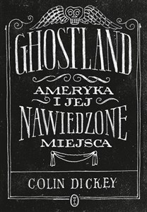 Ghostland Ameryka i jej nawiedzone miejsca online polish bookstore