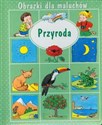 Obrazki dla maluchów Przyroda polish books in canada