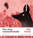 Pies, który rozweselił smutki  buy polish books in Usa