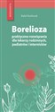 Borelioza - praktyczne rozwiązania, dla lekarzy rodzinnych, pediatrów i internistów buy polish books in Usa