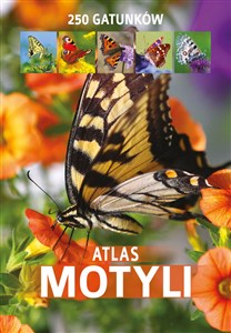 Atlas motyli chicago polish bookstore