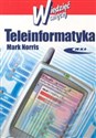 Teleinformatyka polish usa