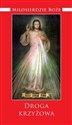 Miłosierdzie Boże Droga krzyżowa Wybrane modlitwy z Dzienniczka św. Faustyny Kowalskiej online polish bookstore