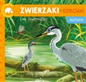 Zwierzaki-Dzieciaki Jezioro - Polish Bookstore USA