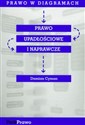 Prawo w diagramach Prawo upadłościowe i naprawcze - Damian Cyman