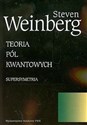 Teoria pól kwantowych Tom 3 Supersymetria polish books in canada