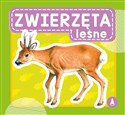 Zwierzęta leśne  - Polish Bookstore USA