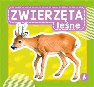 Zwierzęta leśne  - Polish Bookstore USA