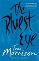 The Bluest Eye  