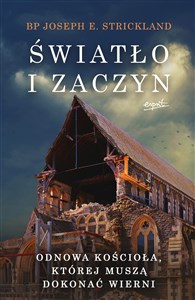 Światło i zaczyn Odnowa Kościoła, której muszą dokonać wierni in polish