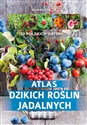 Atlas dzikich roślin jadalnych - Polish Bookstore USA