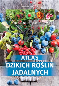 Atlas dzikich roślin jadalnych 150 polskich gatunków - Polish Bookstore USA