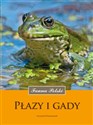 Płazy i gady. Fauna Polski - Klimaszewski Krzysztof Polish Books Canada