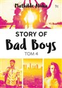 Story of Bad Boys 4 - Mathilde Aloha Polish bookstore