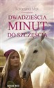 Dwadzieścia minut do szczęścia Polish bookstore