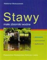 Stawy Małe zbiorniki wodne - Waldemar Mioduszewski Polish bookstore