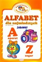 Alfabet dla najmłodszych Zabawki to buy in USA