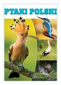 Ptaki Polski online polish bookstore