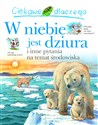 Ciekawe dlaczego w niebie jest dziura - Sean Callery