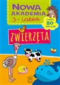 Nowa Akademia 3-latka Zwierzęta buy polish books in Usa