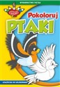 Zakręcone kolory. Pokoloruj ptaki Polish Books Canada